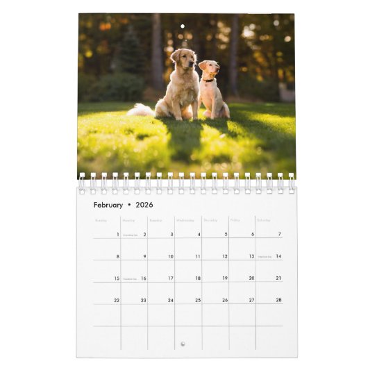 Schöne Golden Retrievers Kalender (Feb 2026)