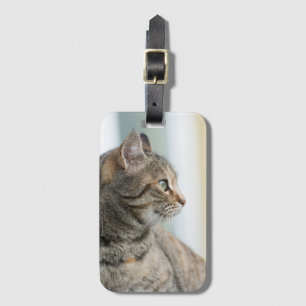 Schöne graue Katze Gepäckanhänger