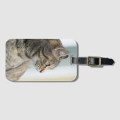 Schöne graue Katze Gepäckanhänger (Vorderseite (Horizontal))