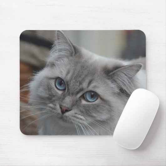 Schöne graue Katze mit blaue Augen-Mausunterlage Mousepad (Mit Mouse)