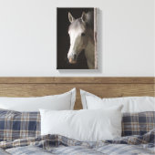 Schöne graue Mare HORSES Leinwanddruck (Insitu (Schlafzimmer))