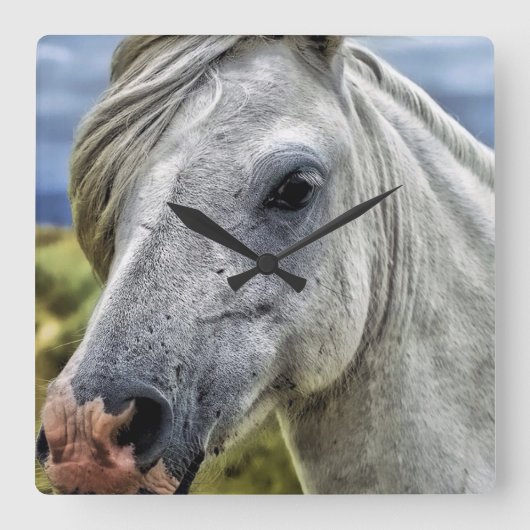 Schöne graue Pferdeuhr Quadratische Wanduhr (Vorderseite)