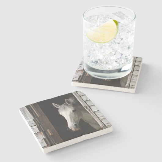 Schöne graue Stuten-Pferdetiere Steinuntersetzer (Seitenansicht)