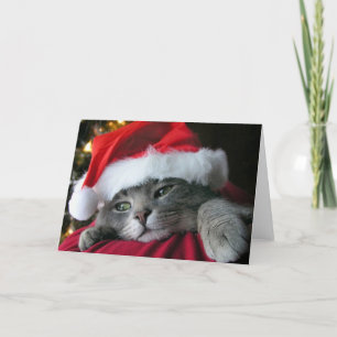 Schöne graue WeihnachtsMiezekatzekatze Feiertagskarte