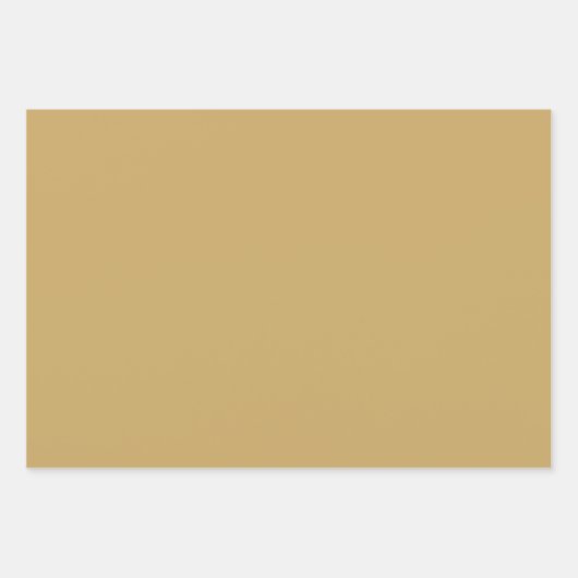 Schöne Green und Gold Safari Thema Geschenkpapier Set (Vorderseite 2)