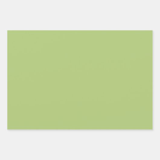 Schöne Green und Gold Safari Thema Geschenkpapier Set (Vorderseite 3)