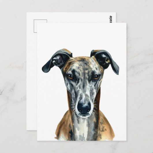 Schöne Gridle Greyhound Illustration Postkarte (Vorne/Hinten)