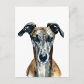 Schöne Gridle Greyhound Illustration Postkarte (Vorderseite)