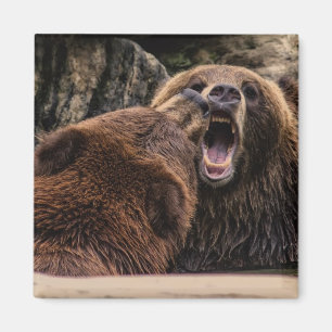 Schöne Grizzlybären Magnet