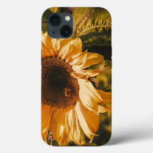 Schöne große Gelbblütenstrasse Case-Mate iPhone Hülle