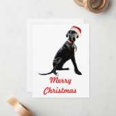 Schöne große Grenze in der Weihnachtsmannmütze Mitteilungskarte (Vorderseite/Rückseite Beispiel)