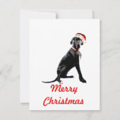 Schöne große Grenze in der Weihnachtsmannmütze Mitteilungskarte (Rückseite)