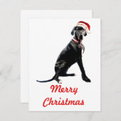 Schöne große Grenze in der Weihnachtsmannmütze Mitteilungskarte (Vorne/Hinten)