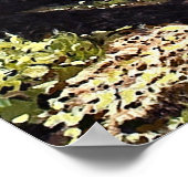 Schöne Grove von Aspen Bäumen in Crested Butte Po Poster (Ecke)