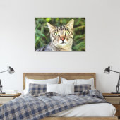 Schöne grün-mit Augen-graue Tabby-Katze nah-up Leinwanddruck (Insitu (Schlafzimmer))