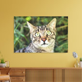 Schöne grün-mit Augen-graue Tabby-Katze nah-up Leinwanddruck (Insitu (Wohnzimmer))