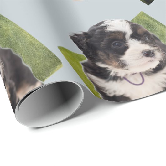 Schöne grüne Bernedoodle Welpe Art Geschenkpapier (Rolleneckpunkt)