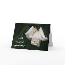 Schöne grüne Blätter Weiße Rose Blume Beileid