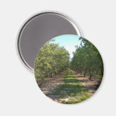 Schöne grüne, endlose Orchard-Rose Magnet (Vorderseite/Rückseite)