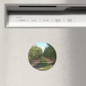 Schöne grüne, endlose Orchard-Rose Magnet (In Situ (Geschirrspüler))