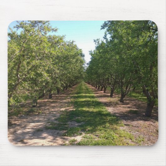 Schöne grüne, endlose Orchard-Rose Mousepad (Vorne)