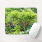 Schöne Grüne Gartenlandschaft mit Hostas Mousepad (Mit Mouse)