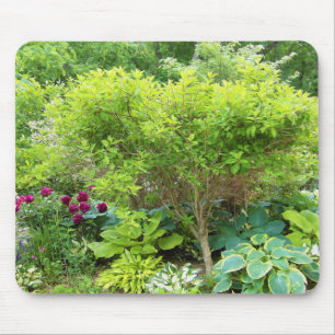 Schöne grüne Gartenlandschaft mit Hostas Mousepad