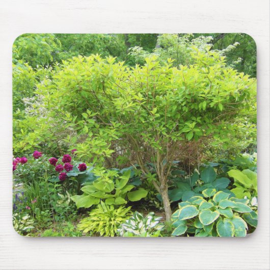 Schöne Grüne Gartenlandschaft mit Hostas Mousepad (Vorne)