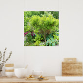 Schöne Grüne Gartenlandschaft mit Hostas Poster (Küche)