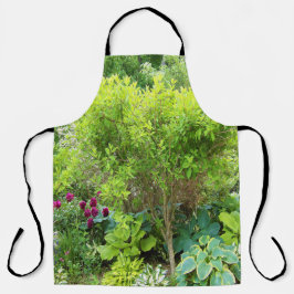 Schöne Grüne Gartenlandschaft mit Hostas Schürze