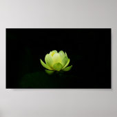 Schöne grüne Lotus,See,Zen Poster (Vorne)