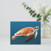 Schöne grüne Meeresschildkröte Postkarte (Stehend Vorderseite)