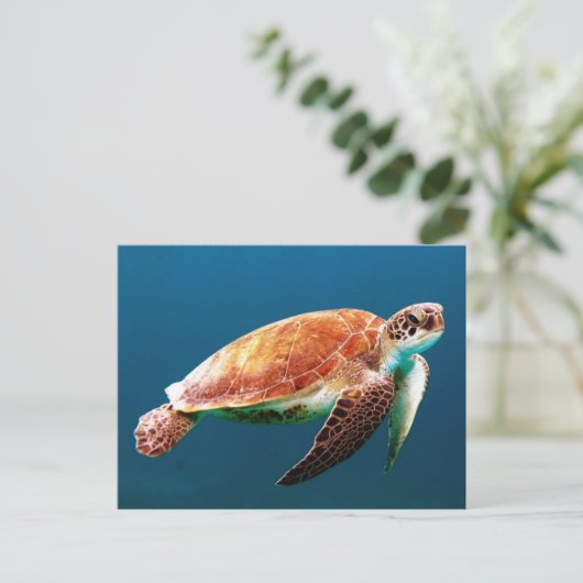Schöne grüne Meeresschildkröte Postkarte (Stehend Vorderseite)