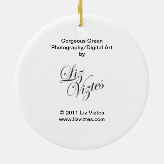 Schöne grüne Ornament (Hinten)