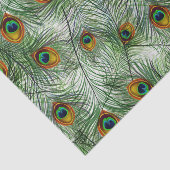 Schöne grüne Pfau-Feder Seidenpapier (Ausschnitt)