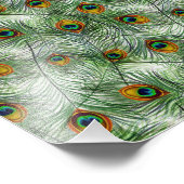 Schöne grüne Pfauenfeder Fotodruck (Ecke)