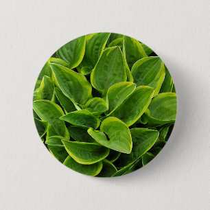 Schöne grüne Pflanze Button