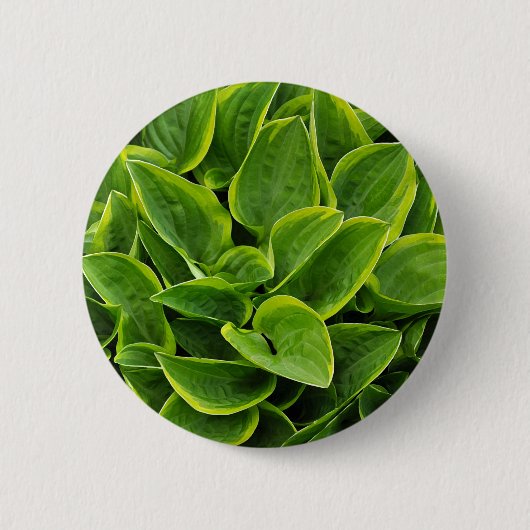 Schöne grüne Pflanze Button (Vorderseite)