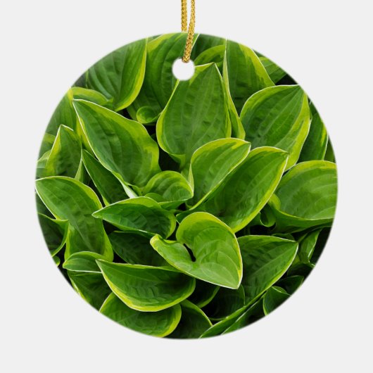Schöne grüne Pflanze Keramik Ornament (Vorne)