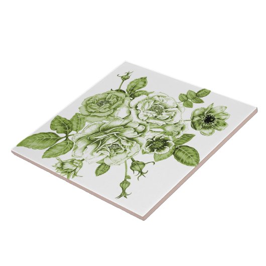 Schöne grüne Rose Fliese (Seite)