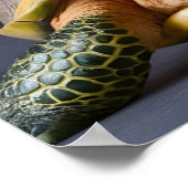 Schöne grüne Schildkröte mit Brille Poster (Ecke)