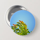 schöne grüne und orangefarbene Pflanze mit einer k Button (Vorne & Hinten)