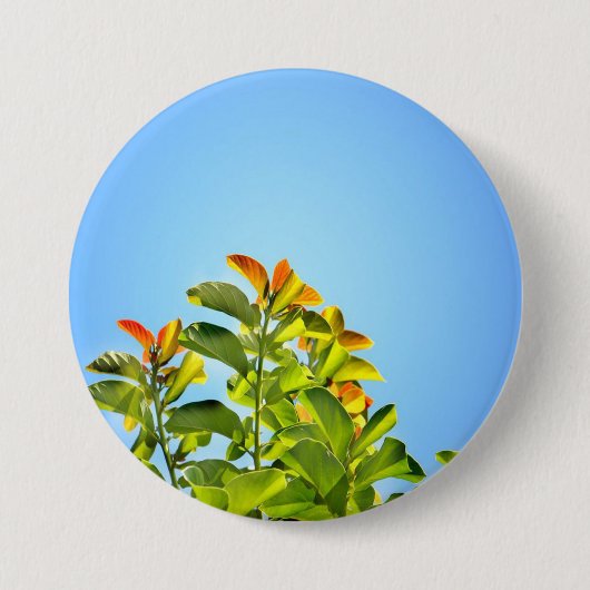 schöne grüne und orangefarbene Pflanze mit einer k Button (Vorderseite)