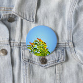 schöne grüne und orangefarbene Pflanze mit einer k Button (Beispiel)