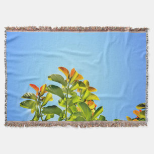 schöne grüne und orangefarbene Pflanze mit einer k Decke