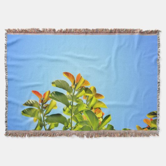 schöne grüne und orangefarbene Pflanze mit einer k Decke (Vorderseite)