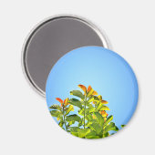 schöne grüne und orangefarbene Pflanze mit einer k Magnet (Vorderseite/Rückseite)