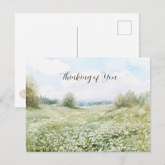 Schöne grüne Wiesenblumen blauer Himmel Postkarte (Vorne/Hinten)