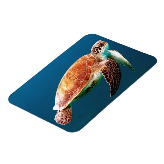 Schöne Grünschildkröte Magnet (Linke Seite)