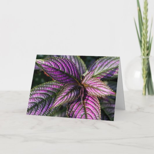 Schöne Grußkarte Karte (Vorderseite)